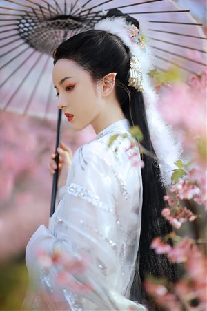 《曼陀邪尊》在线观看-曼陀邪尊-2集正在播放-怪兽影视