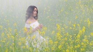 巫妖王的陨落标志着巫妖王的陨落时代的终结