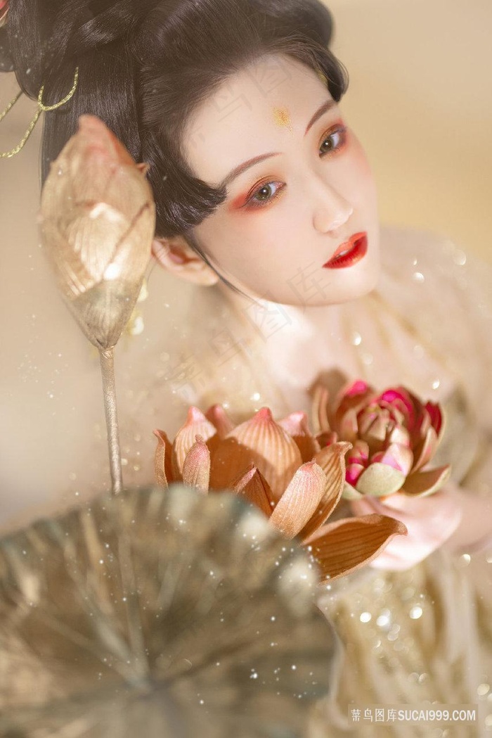 口袋妖怪心金终极战术攻略解析助你轻松击败强大对手