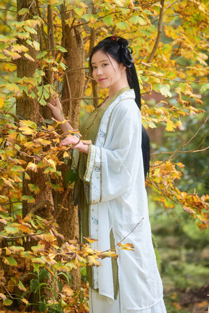 《头埋在两座山峰之间》在线观看-头埋在两座山峰之间-4集正在播放...