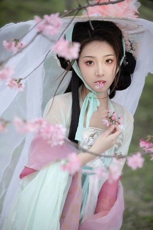 《王尹平竹子》在线观看-王尹平竹子-1集正在播放-怪兽影视
