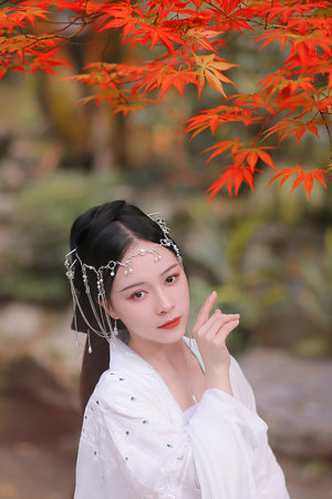 《久久多人视频房间》在线观看-久久多人视频房间-5集正在播放...