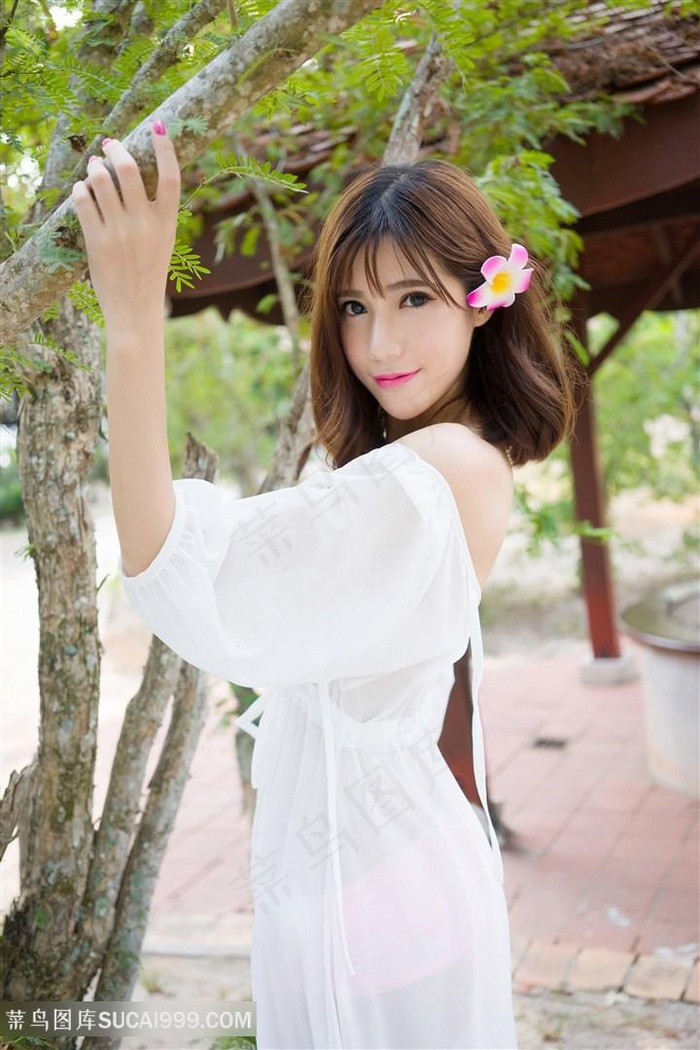 【夏以昼】、文po养大的CC怎么了,背后隐藏的秘(密,让...