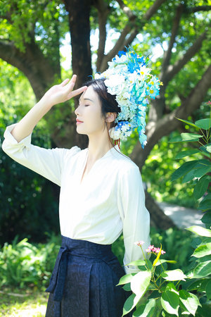 《杨 丽玲》在线观看-杨 丽玲-3集正在播放-怪兽影视