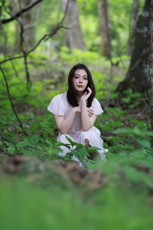 艾尔文与花栗鼠1下载-在线观看-第6集正在播放-怪兽影视