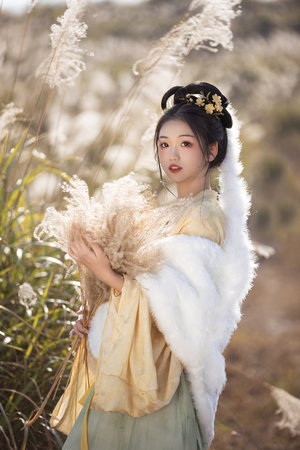 摩尔庄园海妖宝藏如何获取海妖之心?