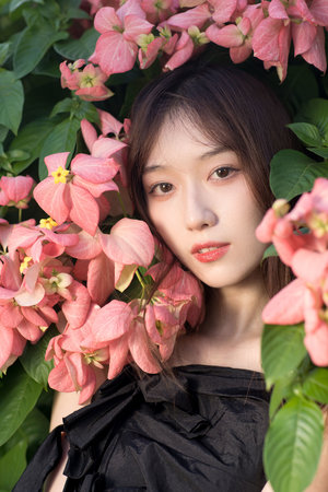 《19eee》在线观看-19eee-5集正在播放-怪兽影视