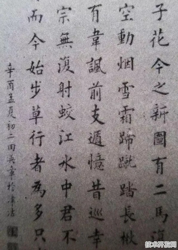 （38字）