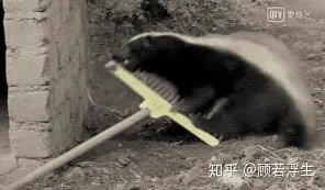 平头哥技术商业化新突破，可回收火箭多次回收背后的技术革新与未来展望