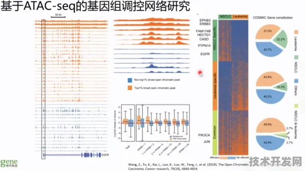 中芯国际生物计算芯片性能飙升492.6%2025年技术突破与未来应用全景解析