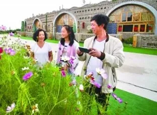 固原数字教育投资激增14.2%2025年新规划背后的区域教育均衡化探索