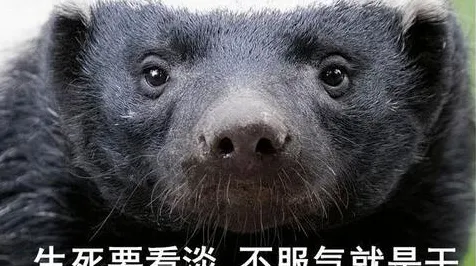 平头哥国际标准制定突破，区块链主导权争夺战中的中国技术范式革命