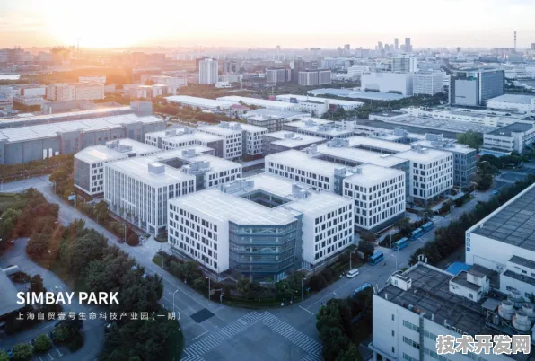 上海智慧医疗产业园启航，2025年首年产值破4112亿，2030年剑指8500亿创新生态