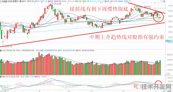 3427.8亿资本涌入！亳州智慧农业试点成全国标杆，2025年将如何重塑农业未来？