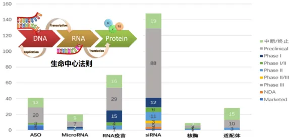 中兴生物计算技术突破，效率提升425%背后的技术革命与未来图景