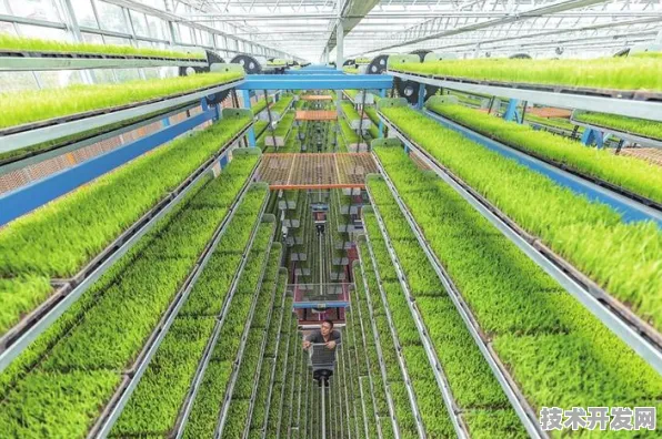 倒看重庆智慧农业新篇，113个重大项目开启未来农业新图景
