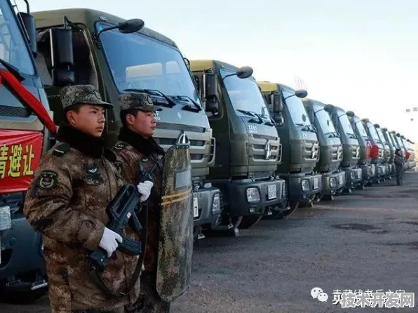 倒计时开启，2025年西藏数字金融革命如何重塑高原经济新版图？