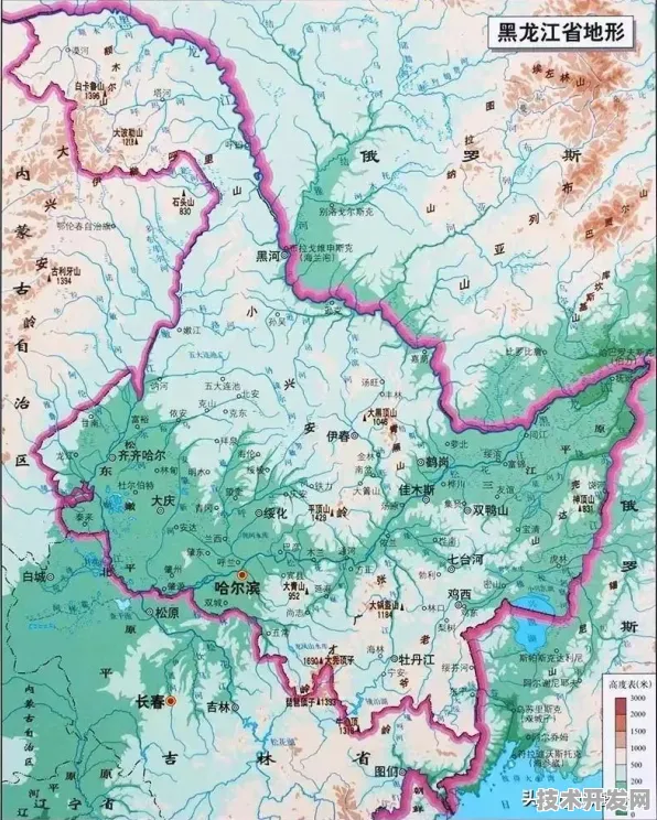2025年9月数据揭秘，黑龙江新型消费政策如何重塑东北经济版图？