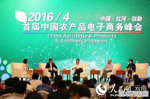 全球智慧农业合作突破346项 永州国际峰会引爆产业升级新动能