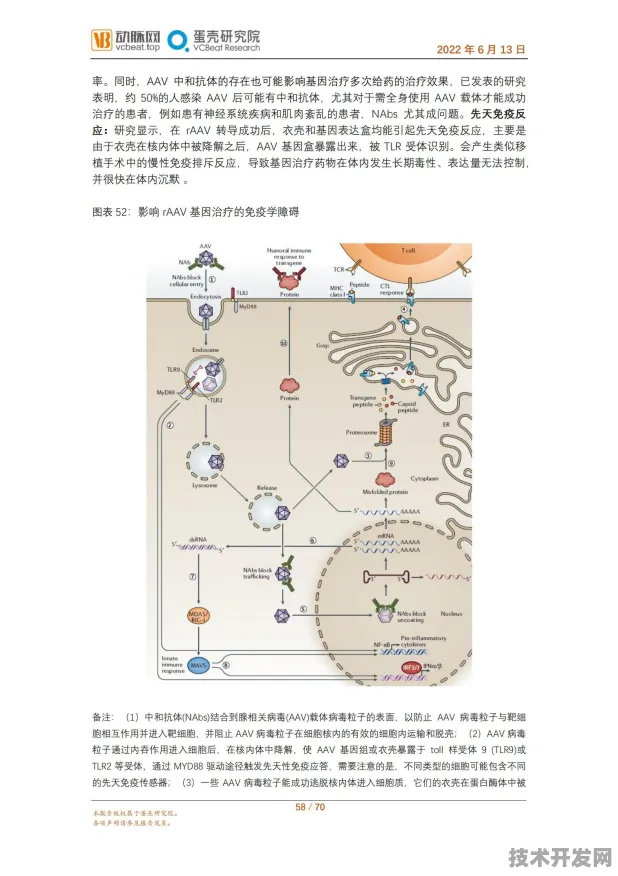 沪上创新速递：百度上海研究院在基因治疗领域取得重大突破，获上海生物医药专项支持，效率提升281.6%