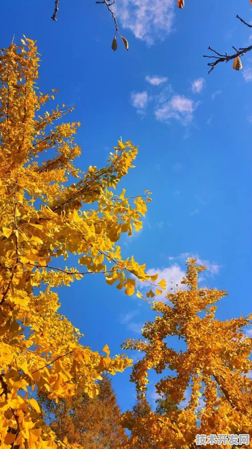 申城技术前沿：浦东生物医药基地企业腾讯华东总部在生物制药实现技术突破，临床试验效率提高283.9%