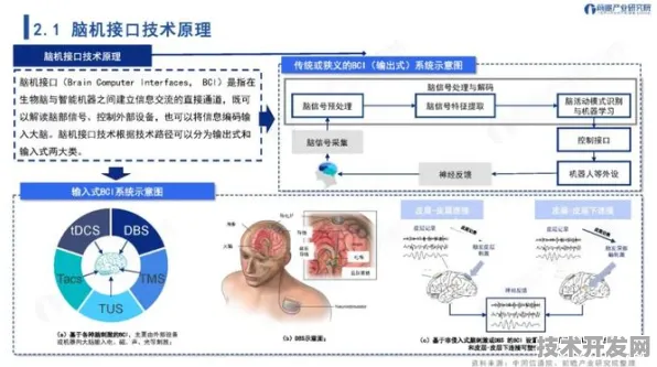 思必驰新型脑机接口效率飙升216.8%2025年技术突破与未来应用全景解析