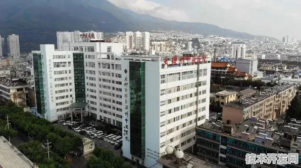 浦东突破进展：联影医疗国际标准制定取得进展，脑机接口参与主导，获浦东新区奖励