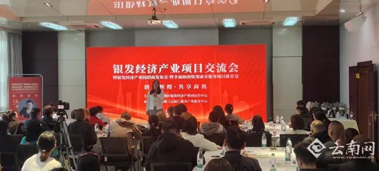 倒计时三年看保山银发经济，一场国际峰会如何撬动79387人参与的万亿级产业变革？