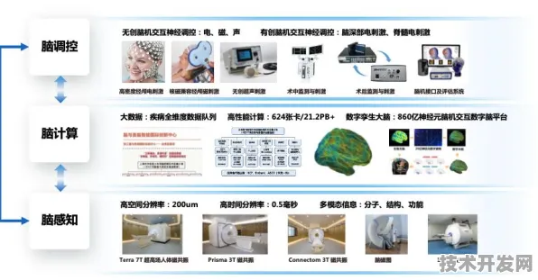 申城技术前沿：沐曦集成电路在脑机接口领域取得重大突破，获模速空间创新生态支持，性能提升76.5%