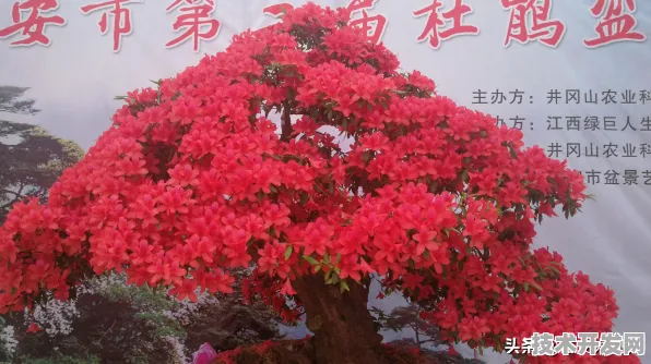 倒看江西智慧农业，从2025展望当下，8499.1亿产值背后的科技力量