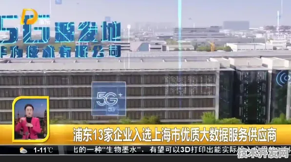 浦东突破进展：上海治臻研发新型大数据技术，获上海市专项扶持，效率提高上海市关键技术研发计划%