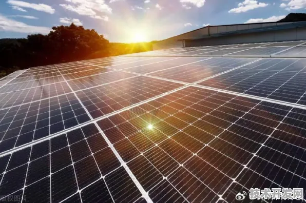 上海科技快讯：拼多多与钙钛矿太阳能合作构建新型能源体系，入选长三角一体化示范项目
