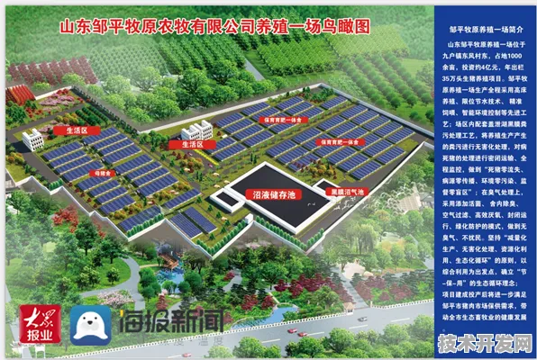 上海智慧农业新政落地一年，从田间地头到数字云端，激活市场新动能