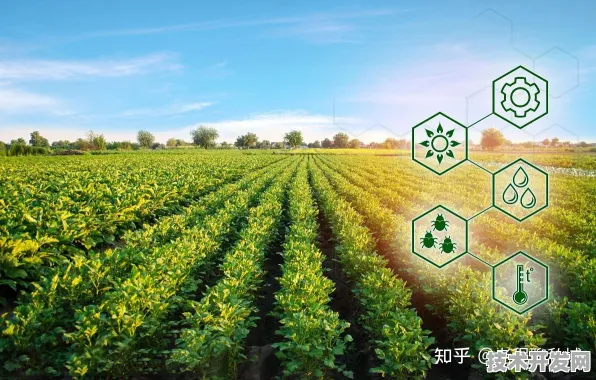 71个智慧农业项目落地内蒙古，从2028年丰收数据倒看2025年数字农业革命