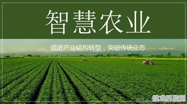 71个智慧农业项目落地内蒙古，从2028年丰收数据倒看2025年数字农业革命