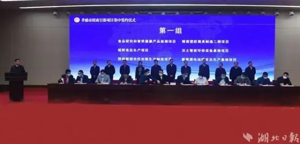 孝感新能源车产业新规划投资增长11.1%未来五年技术突破与市场预测