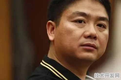 京东与智能电网携手，开启2025年新型能源体系构建新征程