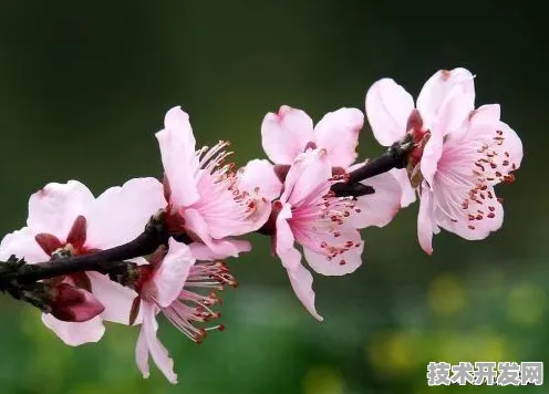 倒计时三年看成果，天津新型消费峰会如何重塑未来消费版图？一场国际盛会背后的经济新动能解析