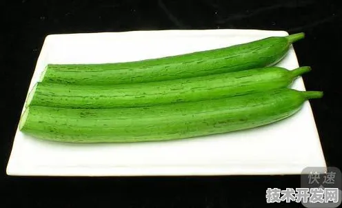 黄瓜丝瓜秋葵狐狸视频教程最新版app下载-黄瓜丝瓜秋葵.