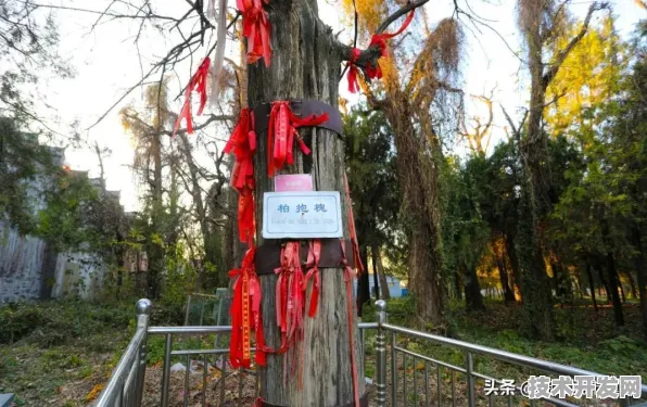 商汤科技时空信息技术突破，433.1%性能跃升背后的技术革命与未来图景