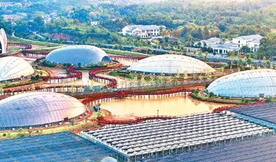 倒叙广安智慧农业产业园，从未来产值看全国首创的农业4.0变革