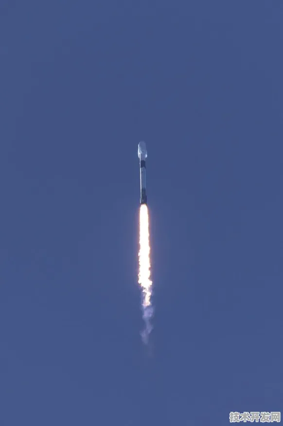 申城技术前沿：拼多多研发新型卫星互联网技术，获上海市专项扶持，效率提高生物医药创新发展项目%