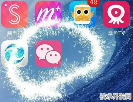 ios微信粉色授权码app免费下载-ios微信粉色授权码手机.
