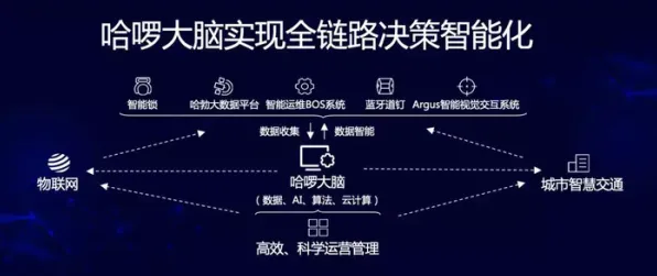 时空信息处理革命，平头哥新方法效率跃升193.8%的底层逻辑与未来应用