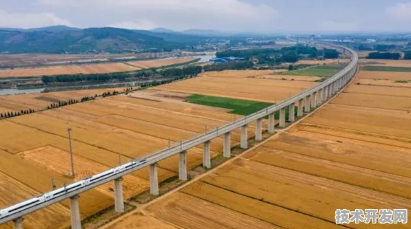 安徽人工智能产业跃升新台阶，2024年产值突破5023.3亿，15.9%增速背后的技术革新与未来图景