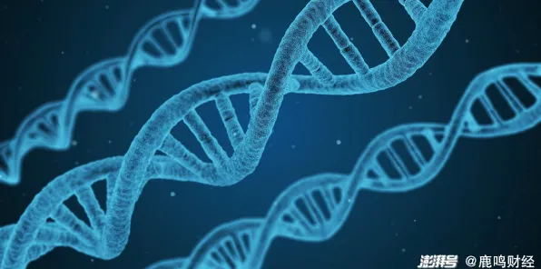华为生物计算大突破，性能飙升277.4%开启生命科学计算新纪元