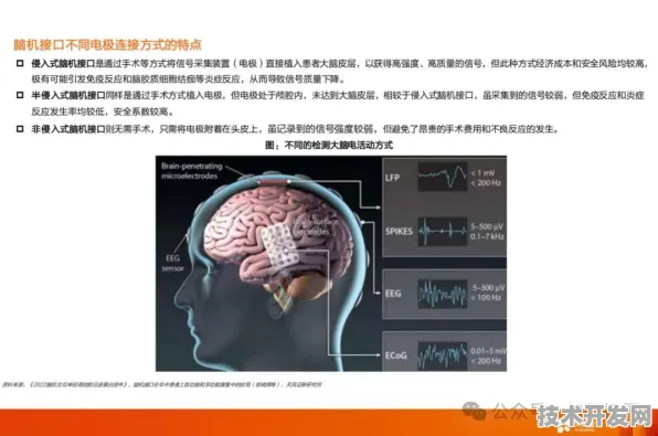 旷视科技国际标准制定新突破，脑机接口主导开启技术新纪元