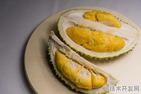 榴莲APP下载苹果IOS和安卓app免费下载-榴莲APP下载.