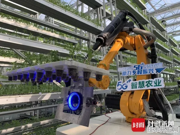 倒叙看重庆智慧农业新篇，136个重大项目开启未来农业新图景