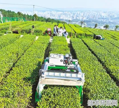 倒叙看重庆智慧农业新篇，136个重大项目开启未来农业新图景